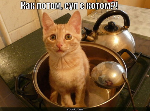 как варить суп с котом
