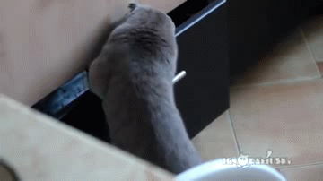 147662422812672599.gif
