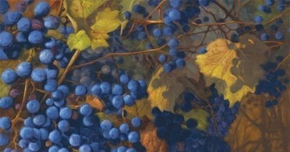 Лиса и виноград фото