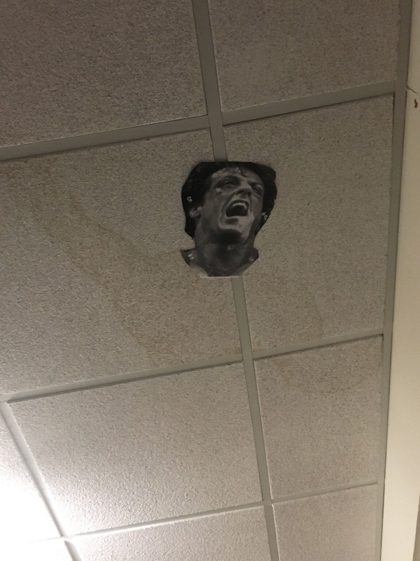 Я никак не мог понять, зачем кто-то наклеил голову Рокки на потолок.