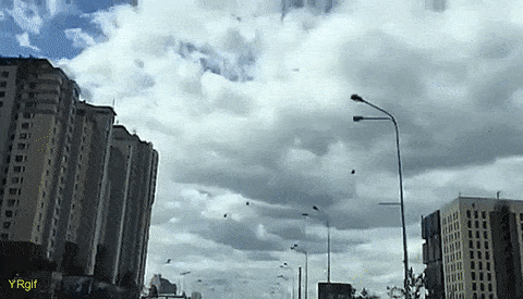 1480098954156028566.gif