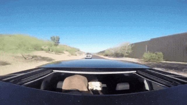 1482831952184497753.gif