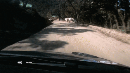 1483781674180898843.gif