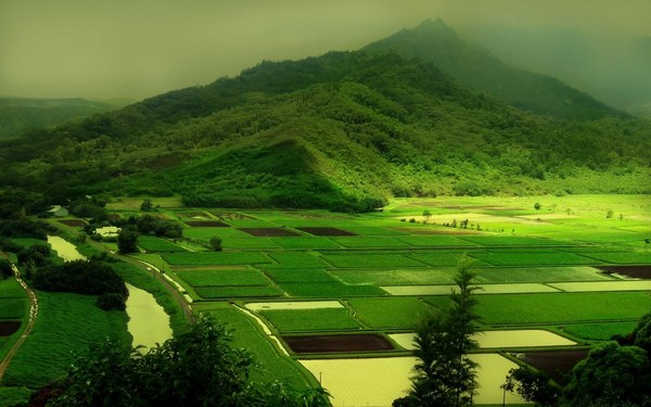 Best Natural Photos Download
