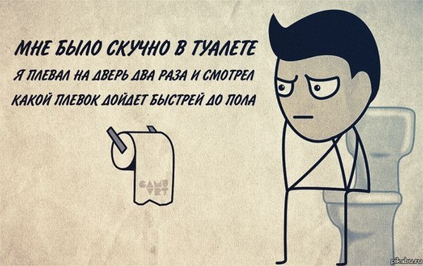 Как сделать свою кошку счастливой Как сделать свою кошку счастливой