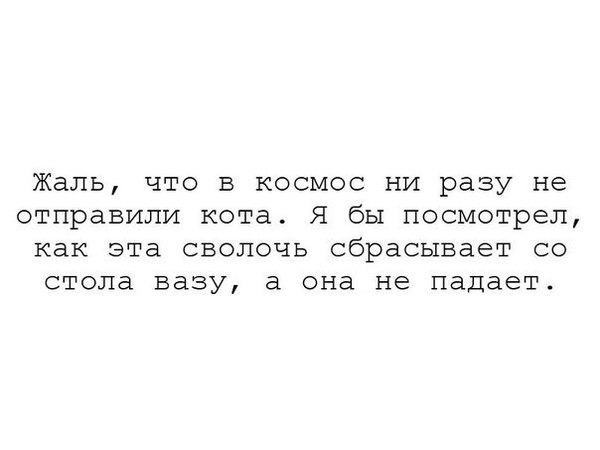 148926105915037211.jpg