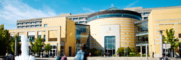 Phd Dissertations Online Washington
