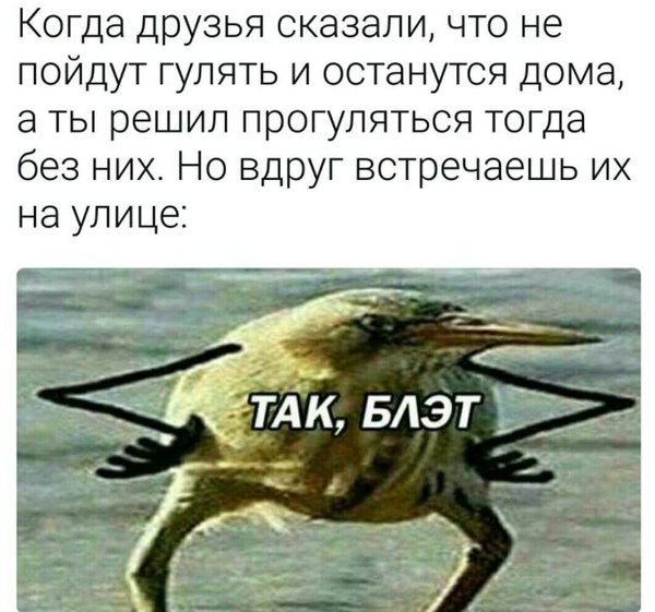 Москва стильные шоурумы Москва стильные шоурумы
