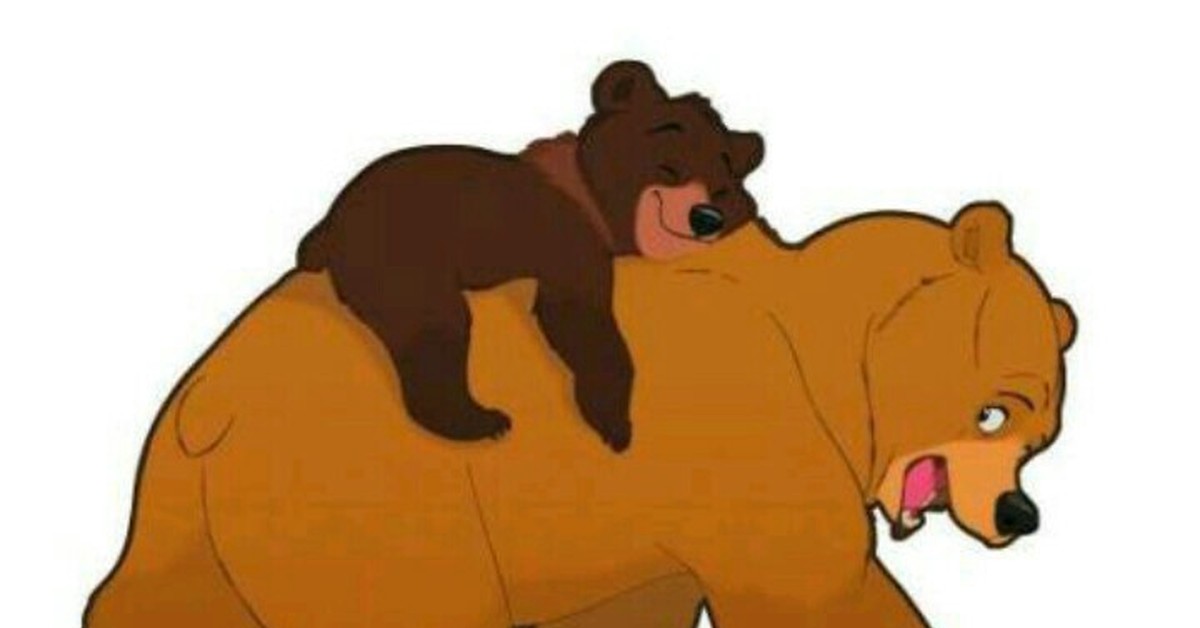 Секс Душ Папа Медведь