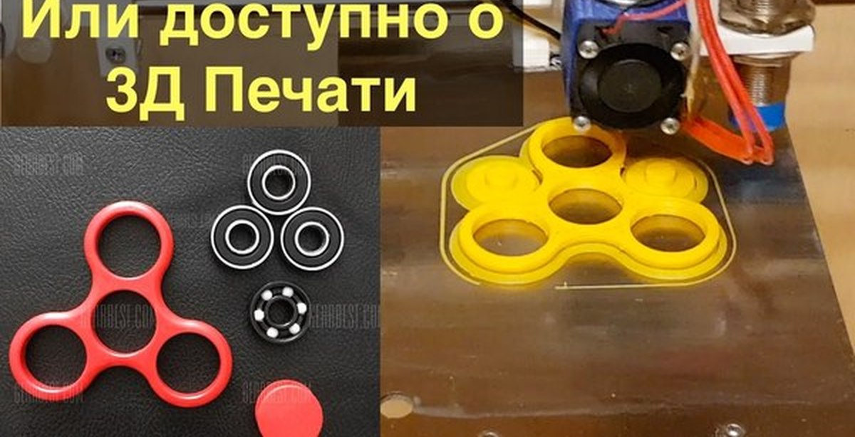 Вероника колосковая посадка и уход фото Вероника колосковая посадка и уход фото
