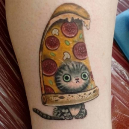 kot.katafot