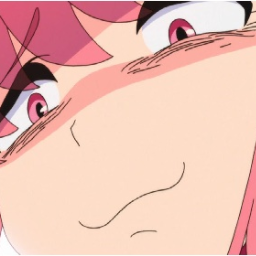 8800553535