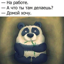 Панда доброе утро
