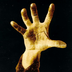 terr1337bleman
