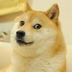 sdelaypausu