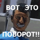 ������ ������������ 423423423