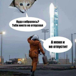 Padla666