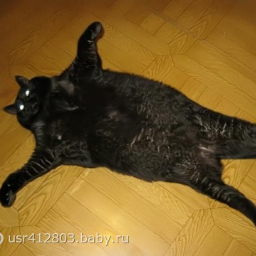 50caHTuMeTpoB