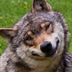 PraiseTheDog