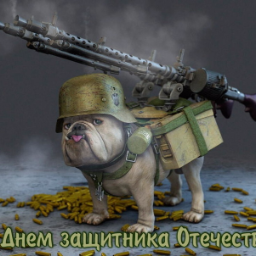 Xamma