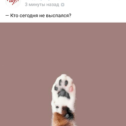 donezserg