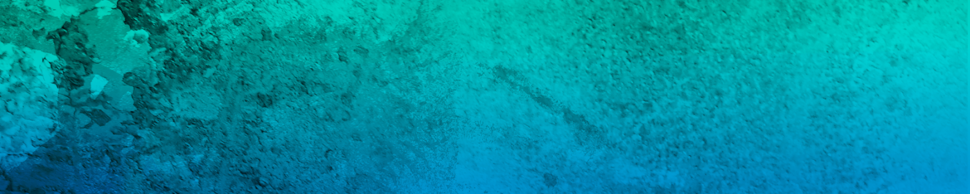 Pikabu banner for @Nicholson