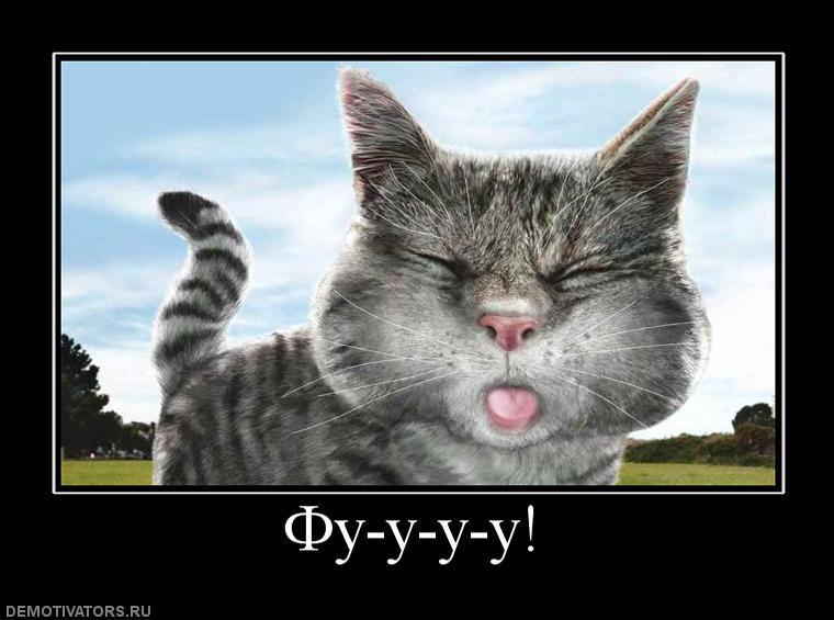 Порно муж чтобы анус был шире