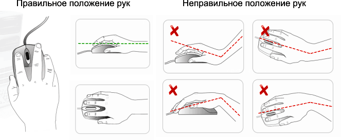 Как правильно держать компьютерную мышь