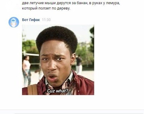 видеочат майл ru быстрые знакомства