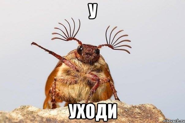 Снегодождь. Опять снегодождь. | Пикабу