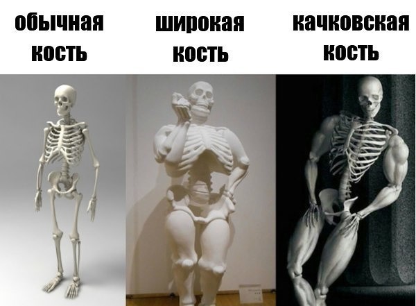 широкая кость картинки онлайн широкая кость картинки