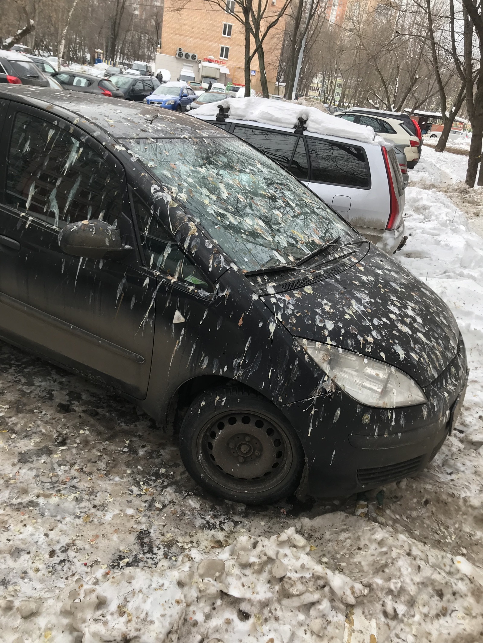 Под прицелом или привалило счастье | Пикабу