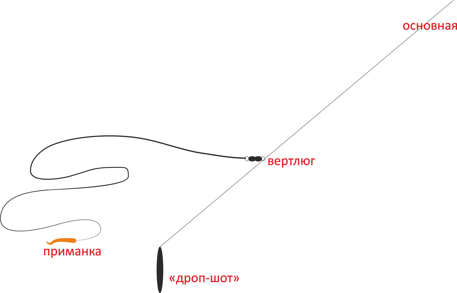Цветы как ухаживать за ванькой мокрым Цветы как ухаживать за ванькой мокрым