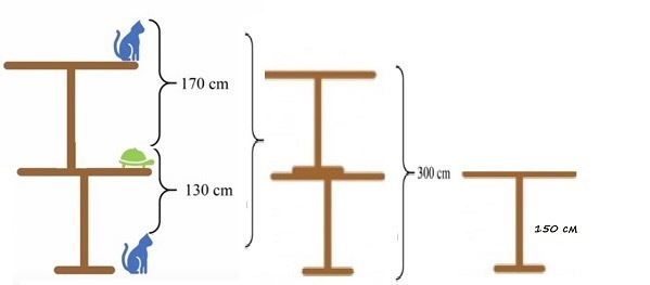 Стол кошка черепаха. Задача про высоту стола с кошкой и черепахой решение. Задасючв высота стола кот черепаха. Задача про высоту стола. Высота стооа кошка и Черепаза.