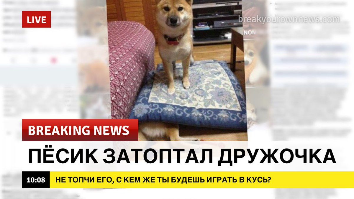 1585051902144376040.png