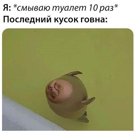 Что делать если ершик смылся в унитаз