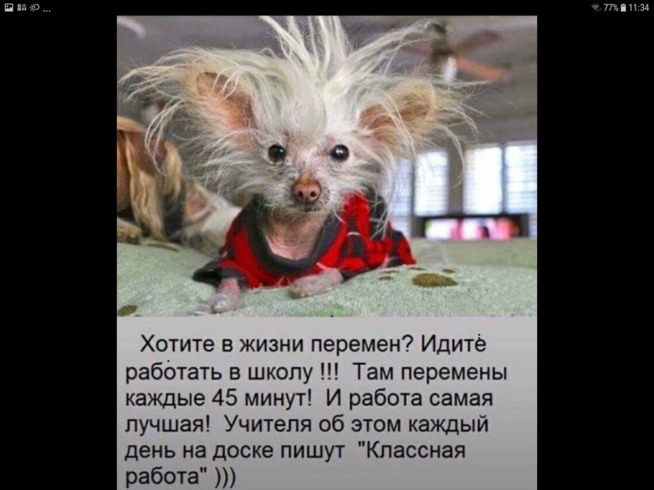 В школу ходишь или на работу. Хотите в жизни перемен идите работать в школу. Хотите в жизни перемен идите работать в школу картинки. Как прогулять школу. В школу ходишь или на работу.