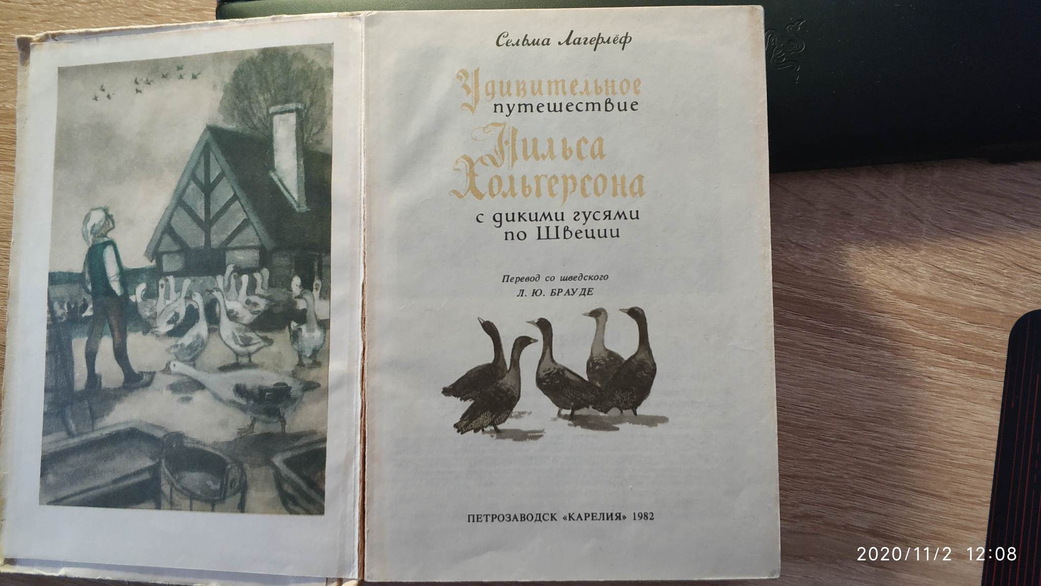 Чем полная версия оригинала Сельмы Лагерлеф «Путешествие Нильса с дикими  гусями» отличается от пересказа и мультфильма? | Пикабу