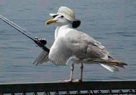 баклан сушит крылья зачем. Смотреть фото баклан сушит крылья зачем. Смотреть картинку баклан сушит крылья зачем. Картинка про баклан сушит крылья зачем. Фото баклан сушит крылья зачем баклан сушит крылья зачем. Смотреть фото баклан сушит крылья зачем. Смотреть картинку баклан сушит крылья зачем. Картинка про баклан сушит крылья зачем. Фото баклан сушит крылья зачем