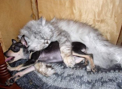 1479748735155145881 мне чтото подсказывает что нас