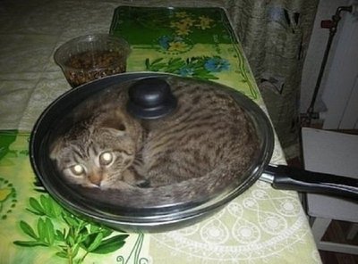 какие виды прожарки мяса существуют. Смотреть фото какие виды прожарки мяса существуют. Смотреть картинку какие виды прожарки мяса существуют. Картинка про какие виды прожарки мяса существуют. Фото какие виды прожарки мяса существуют