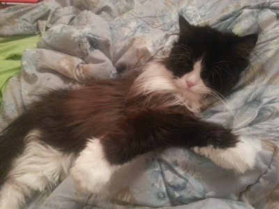 Иллюстрация к комментарию