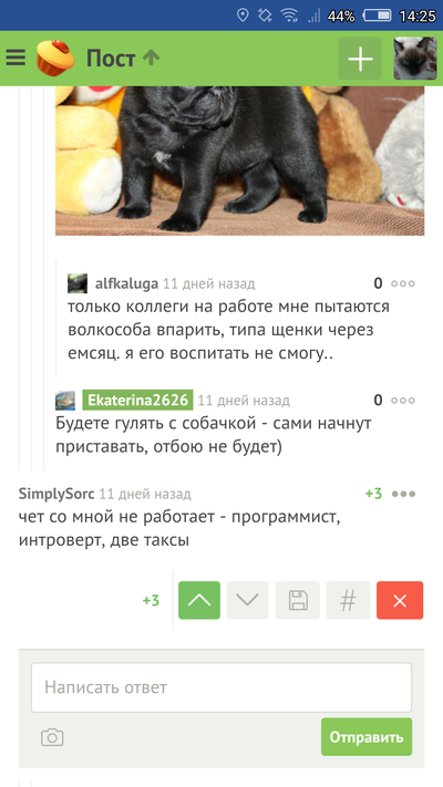 ����������� � �����������