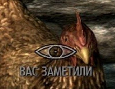 мем курица вас заметили. 1482235503153337759. мем курица вас заметили фото. мем курица вас заметили-1482235503153337759. картинка мем курица вас заметили. картинка 1482235503153337759. Я когда приехал в Штаты, уж 30 лет назад, мне объяснили ребята что nigger это не цвет кожи, а поведение, когда ему все должны, наглое и навязчивое. А ещё есть wiggers, white niggers, с таким же поведением. Нормальные чёрные, которых очень много, и бедные и богатые, разные, сами не любят niggers. Не так давно в Каролине, мне здоровый чёрный мужик, с мозолями на руках, сказал: вы из Калифорнии? У вас там ниггеры распоясались. Я их терпеть не могу. Из за них люди думают что все чёрные лентяи и воры. А это вовсе не так.