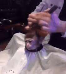 обед ешьте сами братья наши меньшие. 1489005144136662227. обед ешьте сами братья наши меньшие фото. обед ешьте сами братья наши меньшие-1489005144136662227. картинка обед ешьте сами братья наши меньшие. картинка 1489005144136662227. С приорой не было еще