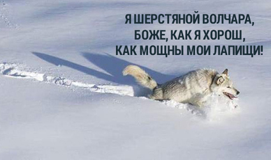 1489758816125064214.jpg