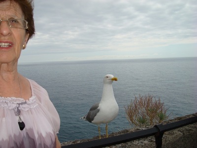 какая на вкус чайка. Смотреть фото какая на вкус чайка. Смотреть картинку какая на вкус чайка. Картинка про какая на вкус чайка. Фото какая на вкус чайка какая на вкус чайка. Смотреть фото какая на вкус чайка. Смотреть картинку какая на вкус чайка. Картинка про какая на вкус чайка. Фото какая на вкус чайка