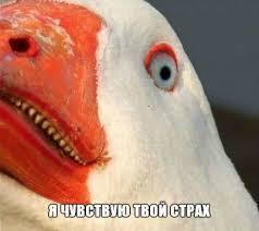 ������ �� �������� ����, ����� ���� ������