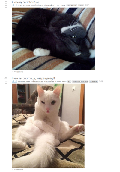 ����������� � �����������