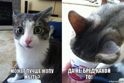 Туалетная бумага листочек денежная акция ищи внутри. Смотреть фото Туалетная бумага листочек денежная акция ищи внутри. Смотреть картинку Туалетная бумага листочек денежная акция ищи внутри. Картинка про Туалетная бумага листочек денежная акция ищи внутри. Фото Туалетная бумага листочек денежная акция ищи внутри